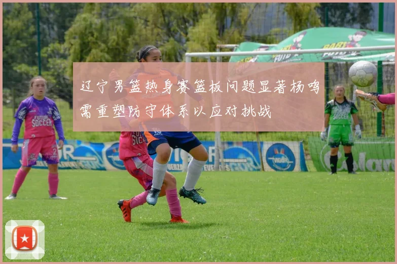 辽宁男篮热身赛篮板问题显著杨鸣需重塑防守体系以应对挑战